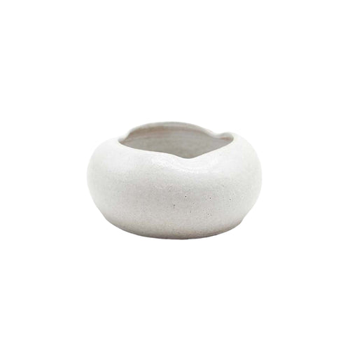 Clam Ashtray - Ellie Home