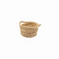 Fruits Oval Basket - Ellie Home