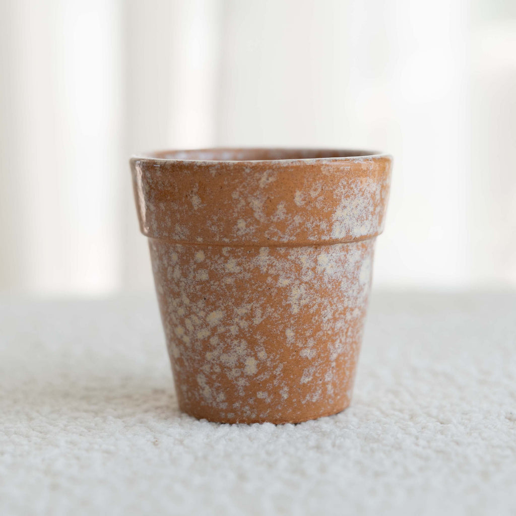 True Brew Cup - Ellie Home