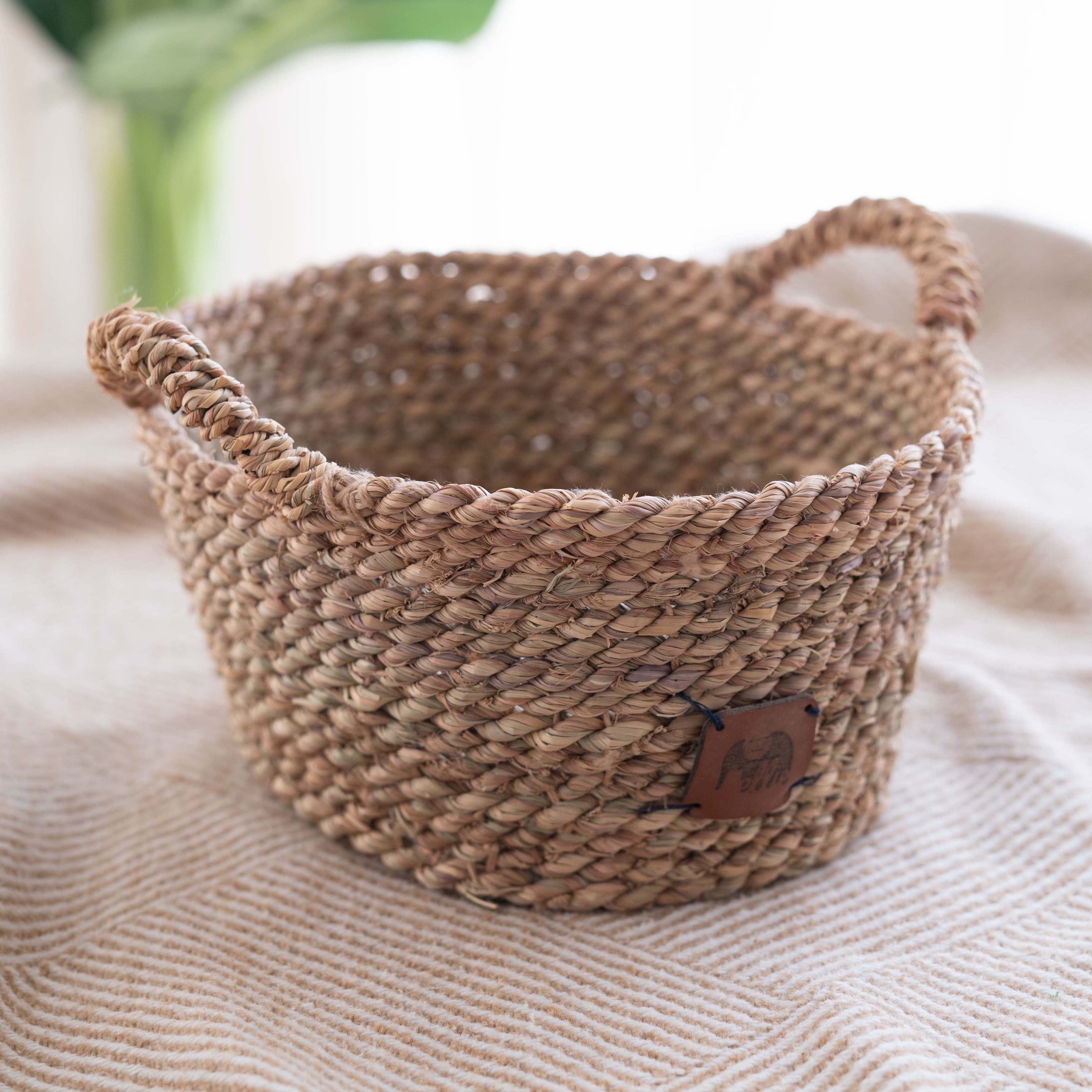 Fruits Oval Basket - Ellie Home