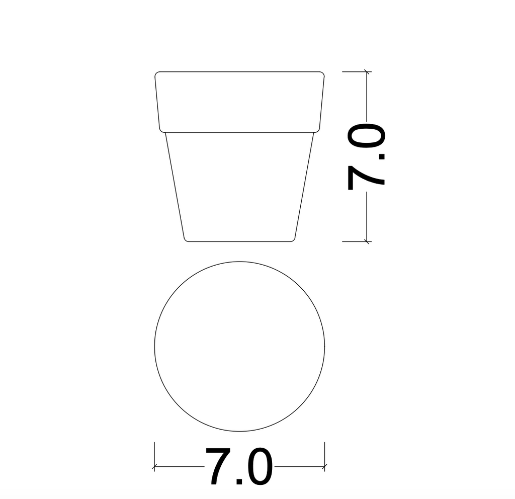True Brew Cup - Ellie Home