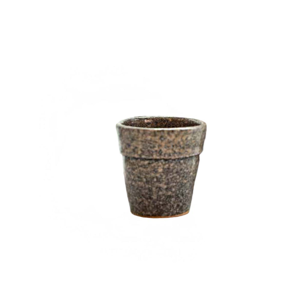 True Brew Cup - Ellie Home