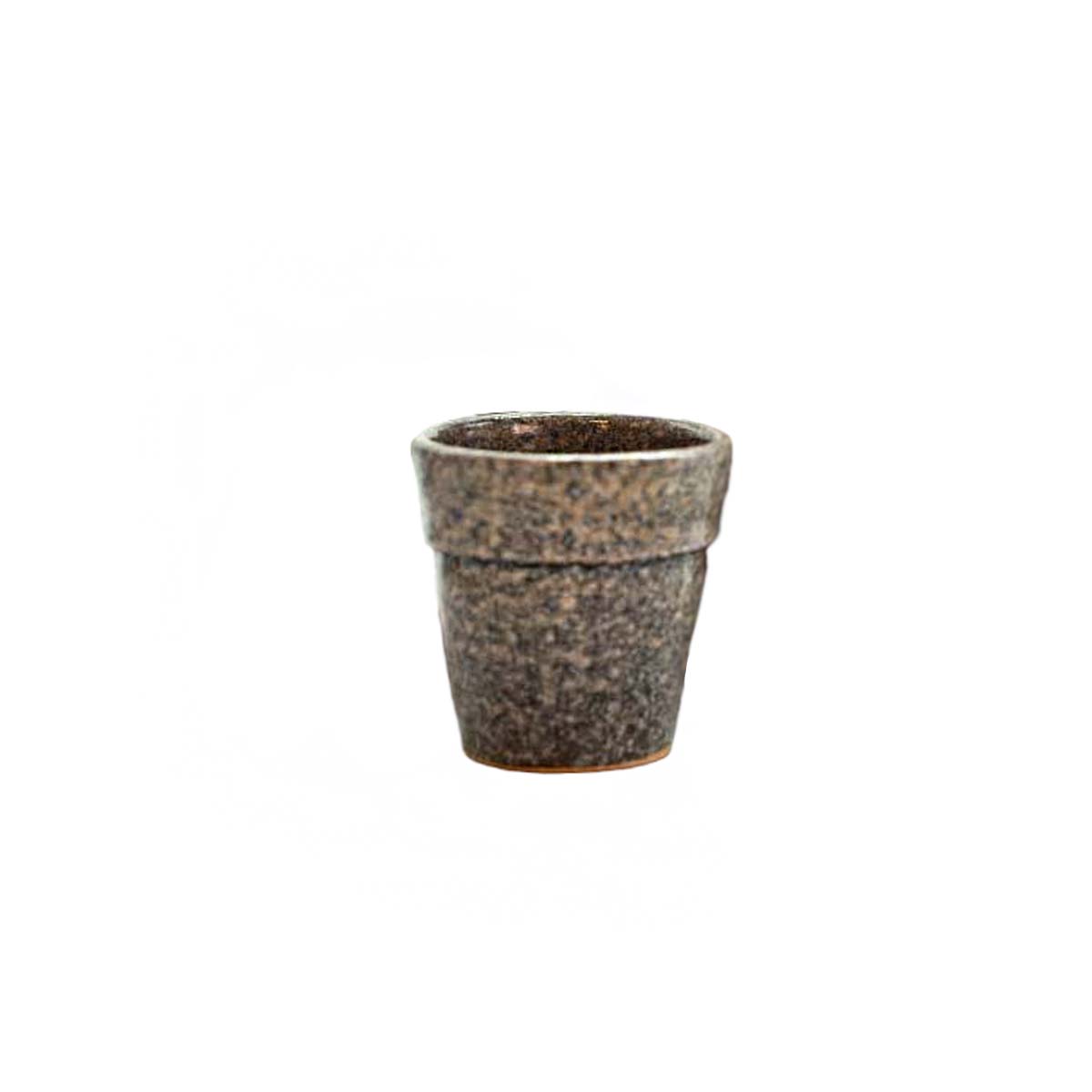 True Brew Cup - Ellie Home